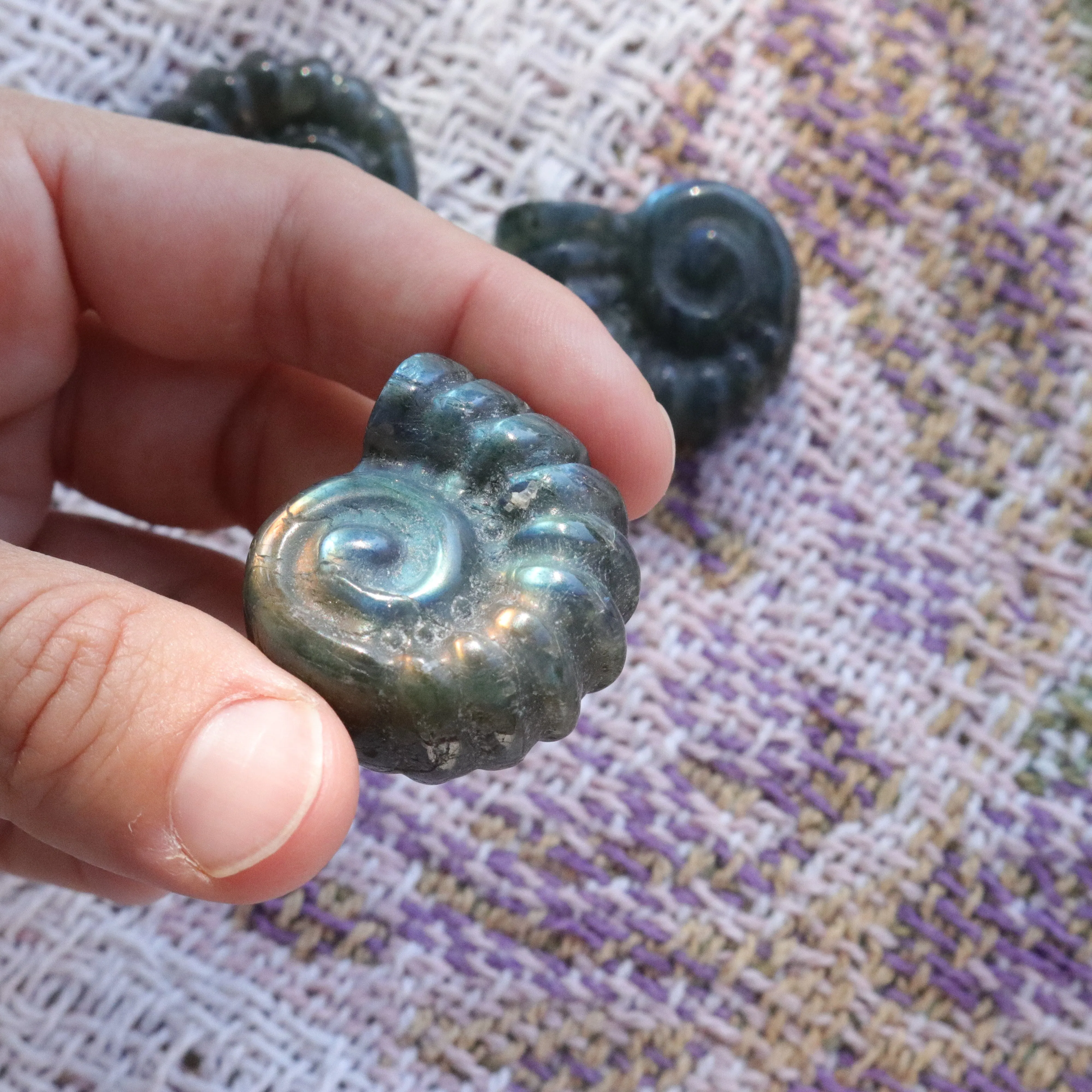 Magical and Cute Flashy Labradorite Shell Carving