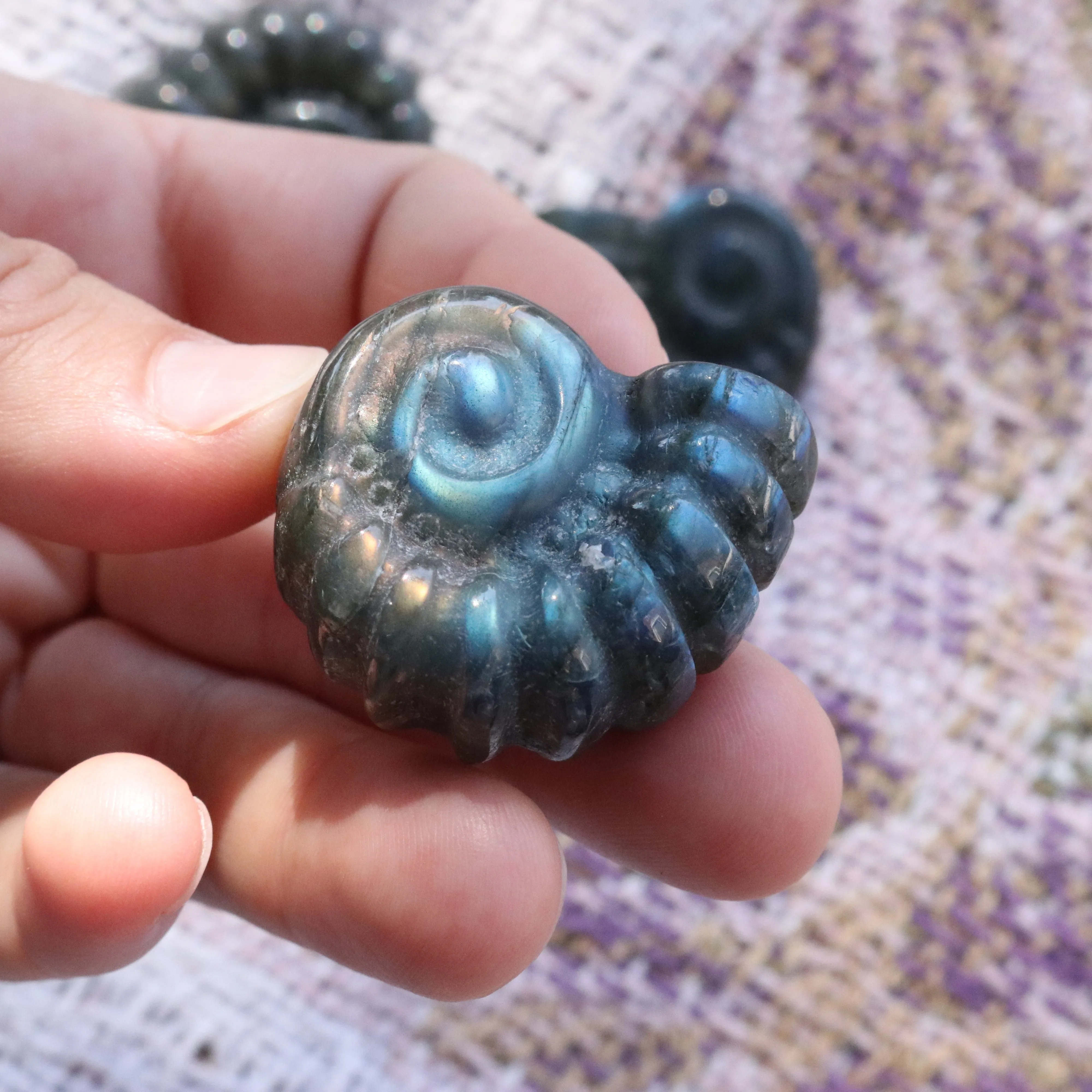 Magical and Cute Flashy Labradorite Shell Carving