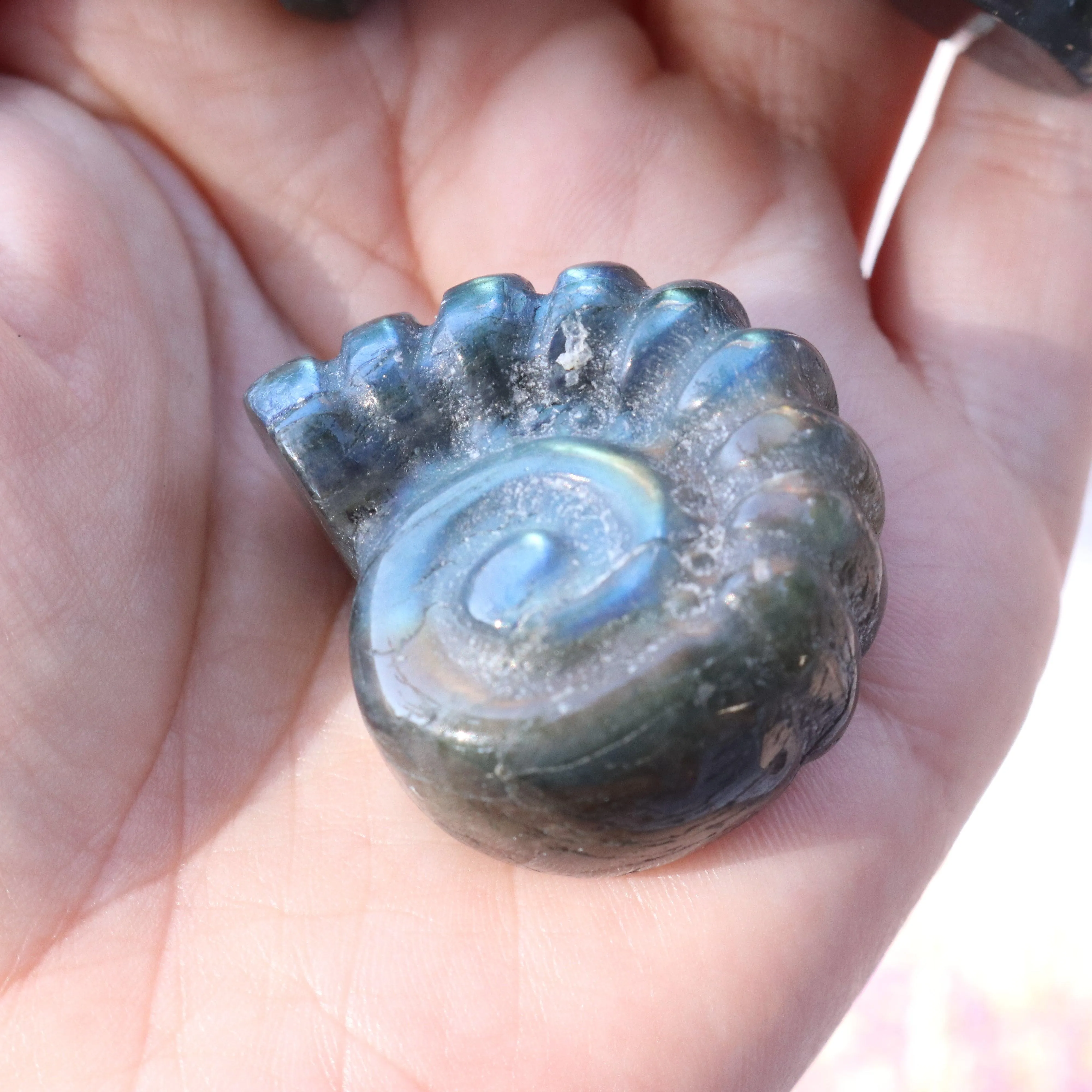 Magical and Cute Flashy Labradorite Shell Carving