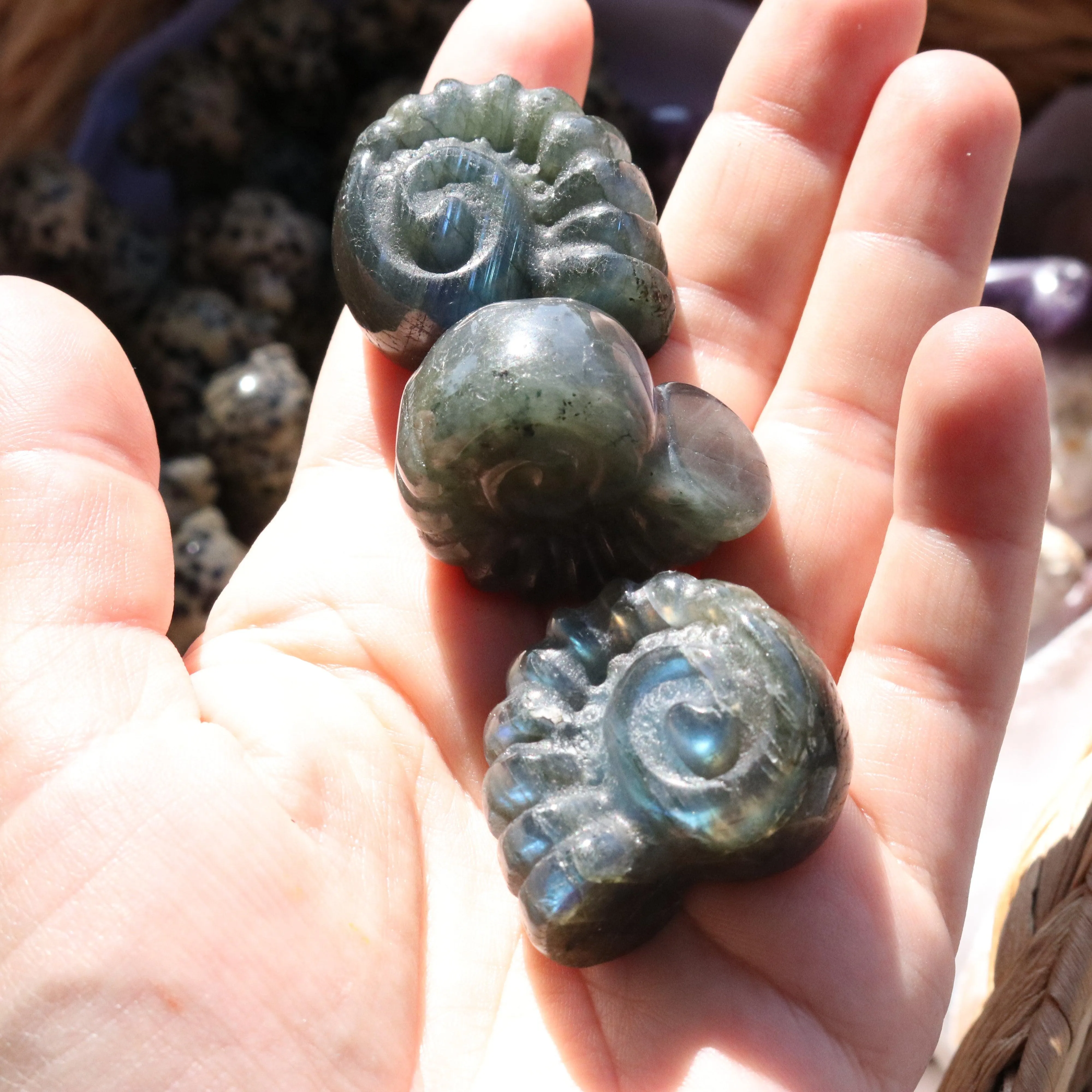 Magical and Cute Flashy Labradorite Shell Carving