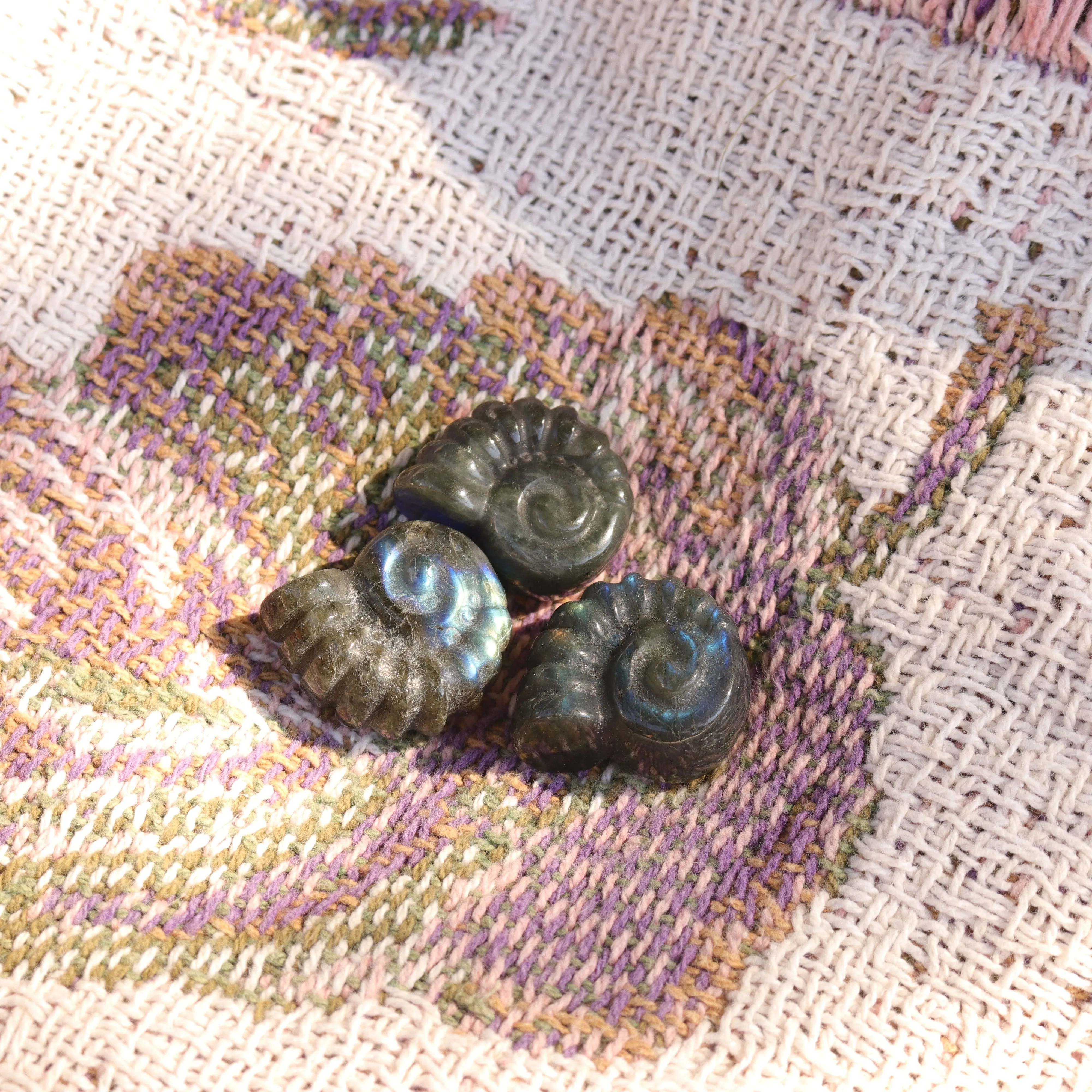 Magical and Cute Flashy Labradorite Shell Carving